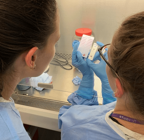 Two researchers working in a lab