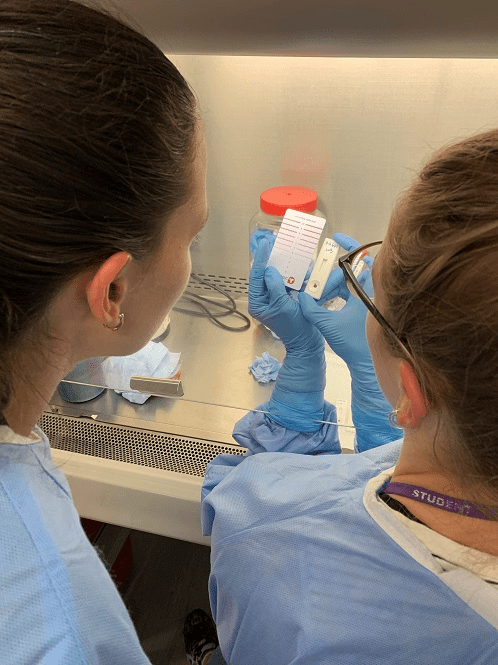 Two researchers working in a lab