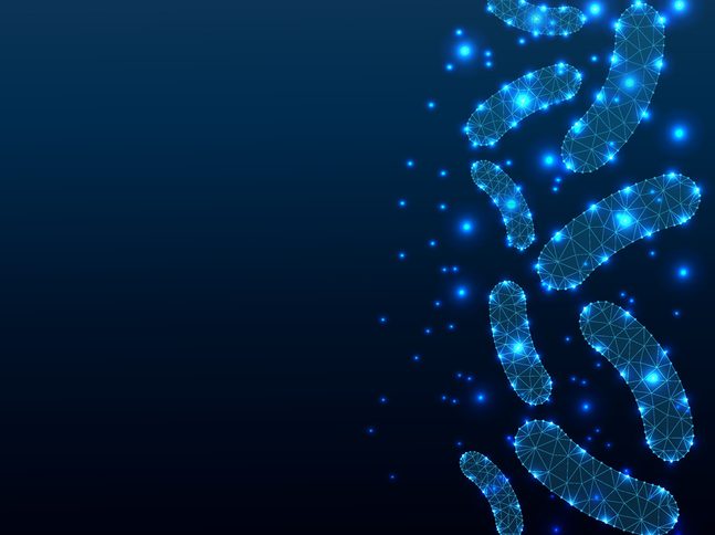 Bacteria probiotics, polygonal style illustration, medical design, study or concept, logo, scientific background. Low poly anatomy polygon design. Healthy normal digestion flora of human intestine.