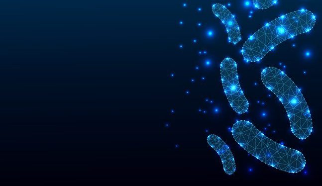 Bacteria probiotics, polygonal style illustration, medical design, study or concept, logo, scientific background. Low poly anatomy polygon design. Healthy normal digestion flora of human intestine.